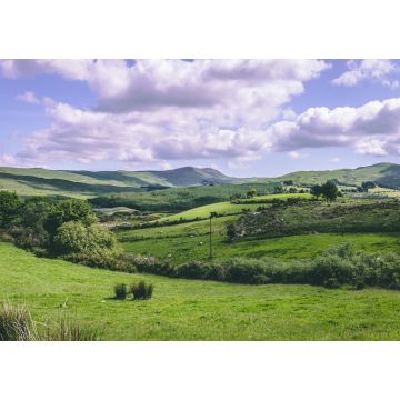 Lais Puzzle - Die grünen Felder von der Landstraße R585 von Cousane Gap in der Grafschaft Cork, Irland, aus gesehen - 1.000 Teile