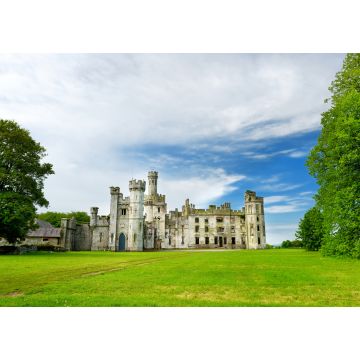 Lais Puzzle - Die Türme und Türmchen von Ducketts Grove, einer Hausruine aus dem 19. Jahrhundert und einem ehemaligen Anwesen in Irland - 1.000 Teile