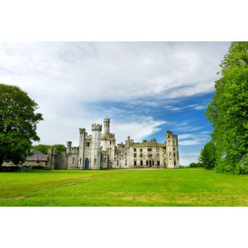 Lais Puzzle - Die Türme und Türmchen von Ducketts Grove, einer Hausruine aus dem 19. Jahrhundert und einem ehemaligen Anwesen in Irland - 2.000 Teile
