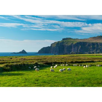 Lais Puzzle - Coumeenoole Bay, Dingle-Halbinsel, Grafschaft Kerry, Irland, Europa - 1.000 Teile