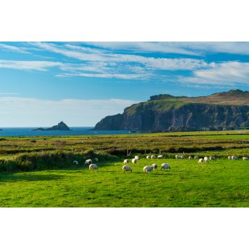 Lais Puzzle - Coumeenoole Bay, Dingle-Halbinsel, Grafschaft Kerry, Irland, Europa - 2.000 Teile