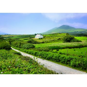 Lais Puzzle - Straße durch die grünen Felder der Grafschaft Kerry mit kleinem Bauernhaus, Irland - 1.000 Teile
