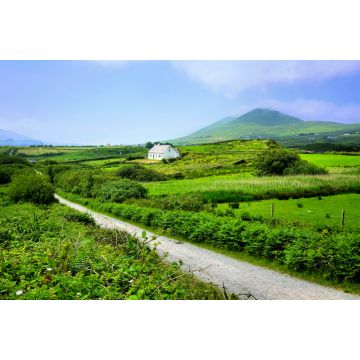 Lais Puzzle - Straße durch die grünen Felder der Grafschaft Kerry mit kleinem Bauernhaus, Irland - 2.000 Teile