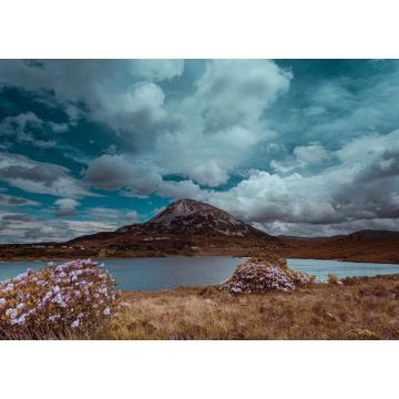 Lais Puzzle - Mount Errigal, Co. Donegal, Irland, Berg Errigal, Co. Donegal, Irland, spiegelt sich in einem blauen See, umgeben von Torfland im Nationalpark - 1.000 Teile
