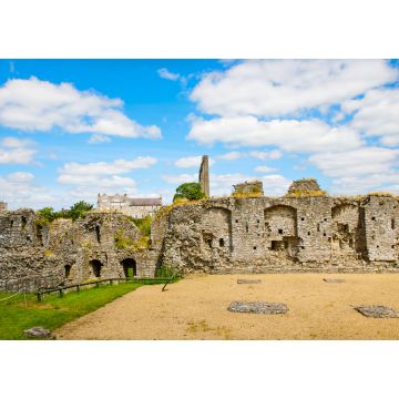 Lais Puzzle - Ein Panoramablick auf die Burg Trim in der Grafschaft Meath am Fluss Boyne, Irland. Es ist die größte anglonormannische Burg in Irland - 1.000 Teile