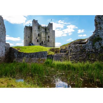 Lais Puzzle - Ein Panoramablick auf die Burg Trim in der Grafschaft Meath am Fluss Boyne, Irland. Es ist die größte anglo-normannische Burg in Irland - 1.000 Teile