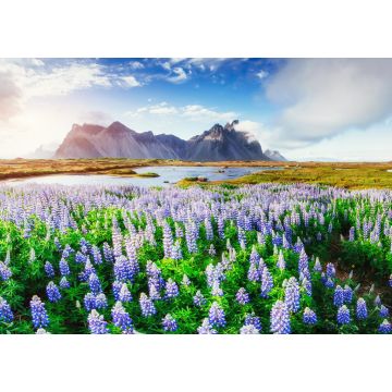 Lais Puzzle - Malerische Ausblicke auf den Fluss und die Berge in Island - 1.000 Teile