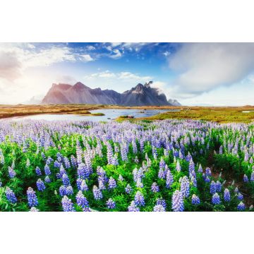 Lais Puzzle - Malerische Ausblicke auf den Fluss und die Berge in Island - 2.000 Teile