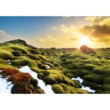 Lais Puzzle - Schönes Panorama der erstaunlichen vulkanischen Mooslandschaft von Eldhraun bei Sonnenaufgang in Island - 1.000 Teile