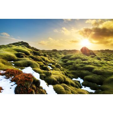 Lais Puzzle - Schönes Panorama der erstaunlichen vulkanischen Mooslandschaft von Eldhraun bei Sonnenaufgang in Island - 2.000 Teile
