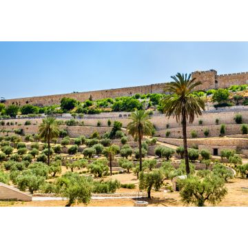 Lais Puzzle - Stadtmauern von Jerusalem oberhalb des Kidrontals - 2.000 Teile
