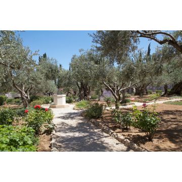 Lais Puzzle - Garten von Gethsemane - 2.000 Teile