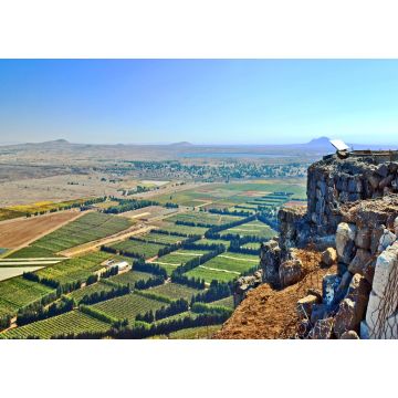 Lais Puzzle - Blick auf die Golanhöhen vom Berg Bental aus. Grenze zwischen Israel und Syrien - 1.000 Teile