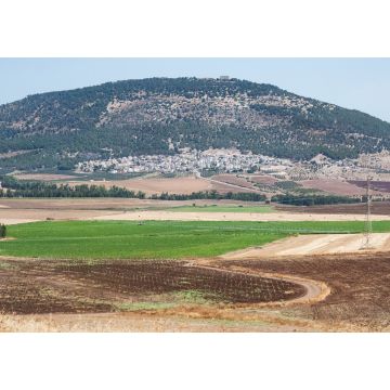 Lais Puzzle - ein panorama des tabor har tavor in der unteren galiläa in nordisrael mit modernen landwirtschaftlichen feldern im vordergrund - 1.000 Teile