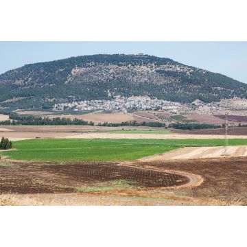 Lais Puzzle - ein panorama des tabor har tavor in der unteren galiläa in nordisrael mit modernen landwirtschaftlichen feldern im vordergrund - 2.000 Teile