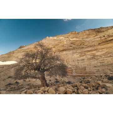 Lais Puzzle - Ein Avdat-Nationalpark Israel - 2.000 Teile