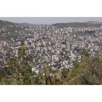 Lais Puzzle - Blick auf die Stadt Nablus - 2.000 Teile