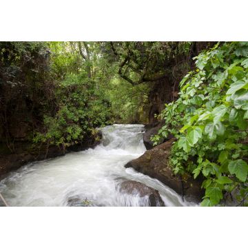 Lais Puzzle - Banias, die Golanhöhen, Israel - 2.000 Teile