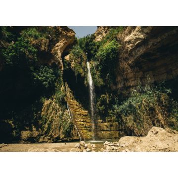 Lais Puzzle - David-Wasserfall Ein Gedi ist eine Oase und ein Naturschutzgebiet in Israel, westlich des Toten Meeres, in der Nähe von Masada und den Qumran-Höhlen gelegen - 1.000 Teile