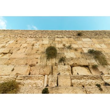 Lais Puzzle - Blick aus geringer Höhe auf die Steine der Klagemauer in Jerusalem, Israel - 1.000 Teile