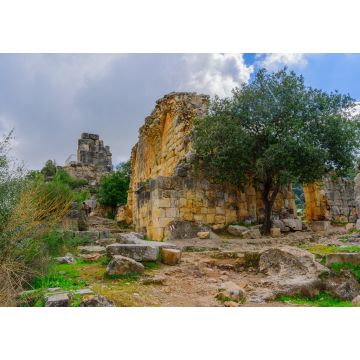 Lais Puzzle - Ruinen der Kreuzritterburg Montfort - 1.000 Teile