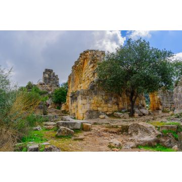 Lais Puzzle - Ruinen der Kreuzritterburg Montfort - 2.000 Teile