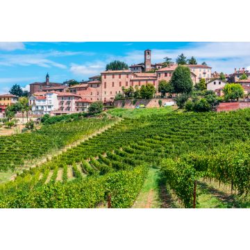 Lais Puzzle - Blick auf Neive in der Provinz Cuneo, Piemont - 2.000 Teile
