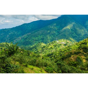 Lais Puzzle - Blaue Berge von Jamaika Kaffeewachstum Ort - 2.000 Teile