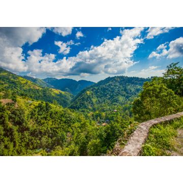 Lais Puzzle - Blaue Berge von Jamaika Kaffee-Wachstumsort - 1.000 Teile