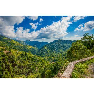 Lais Puzzle - Blaue Berge von Jamaika Kaffee-Wachstumsort - 2.000 Teile