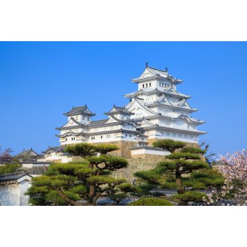 Lais Puzzle - Burg Himeji, Hyogo, Japan - 2.000 Teile