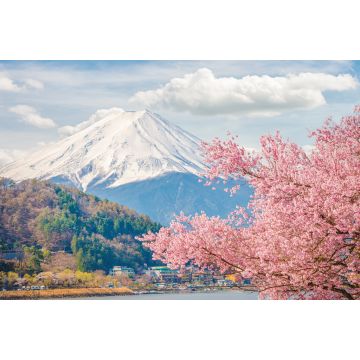 Lais Puzzle - Berg Fuji im Frühling, Kirschblüte Sakura - 2.000 Teile