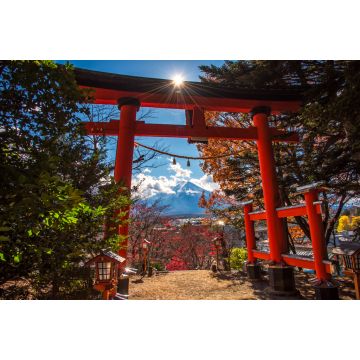 Lais Puzzle - Roter Pfahl auf dem Weg zum Fuji-Aussichtspunkt der Chureito-Pagode in Shimoyoshida, Japan - 2.000 Teile