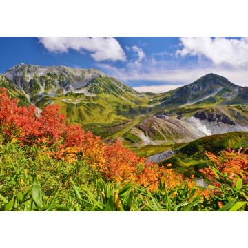Lais Puzzle - Tateyama / Japan ~ Herbst - 1.000 Teile