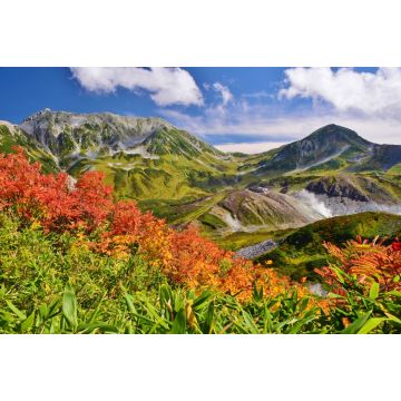 Lais Puzzle - Tateyama / Japan ~ Herbst - 2.000 Teile