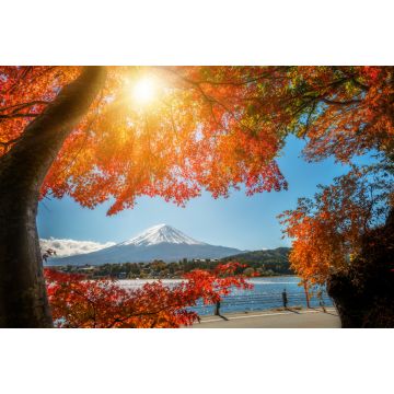 Lais Puzzle - Der Berg Fuji in Herbstfarben, Japan - 2.000 Teile