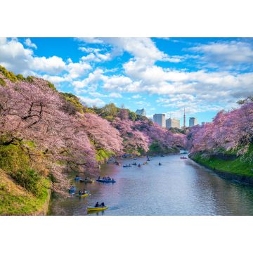 Lais Puzzle - kirschblüte in chidori ga fuchi, tokio, japan - 1.000 Teile