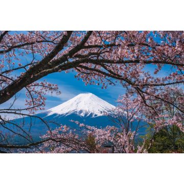 Lais Puzzle - Berg Fuji Sakura Kirschblüte Japan Frühlingszeit - 2.000 Teile