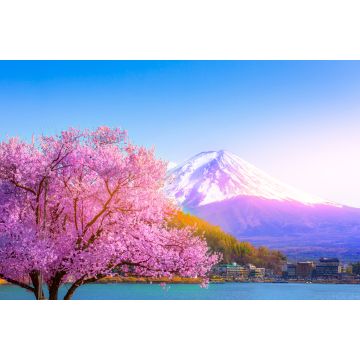 Lais Puzzle - Der Berg Fuji und die Kirschblüten, die vom Kawaguchiko-See in Yamanashi zu sehen sind - 2.000 Teile
