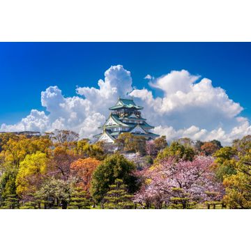 Lais Puzzle - Kirschblüten und Burg in Osaka - 2.000 Teile