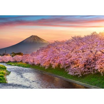 Lais Puzzle - Kirschblüten und der Berg Fuji im Frühling bei Sonnenaufgang, Shizuoka - 1.000 Teile