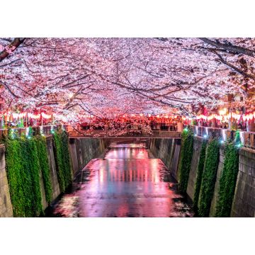 Lais Puzzle - Kirschblütenreihen entlang des Meguro-Flusses in Tokio - 1.000 Teile