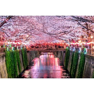 Lais Puzzle - Kirschblütenreihen entlang des Meguro-Flusses in Tokio - 2.000 Teile