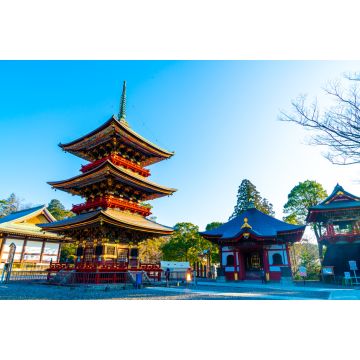 Lais Puzzle - Pagode im Narita-san Shinsho-ji-Tempel, in der Nähe von Tokio, Japan - 2.000 Teile