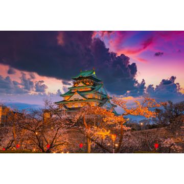 Lais Puzzle - Kirschblüte im Schloss von Osaka, Japan bei Nacht - 2.000 Teile