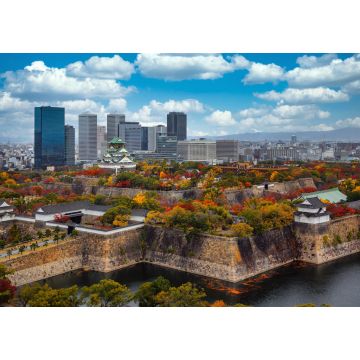 Lais Puzzle - Stadtbild von oben auf die Stadt Osaka und die Burg von Osaka - 1.000 Teile