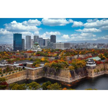 Lais Puzzle - Stadtbild von oben auf die Stadt Osaka und die Burg von Osaka - 2.000 Teile