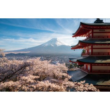 Lais Puzzle - Fujiyoshida, Japan, Chureito-Pagode und Berg Fuji im Frühling mit Kirschblüten in voller Blüte bei Sonnenaufgang - 2.000 Teile