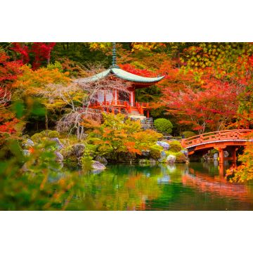 Lais Puzzle - Daigo-ji-Tempel mit bunten Ahornbäumen im Herbst, Kyoto, Japan - 2.000 Teile