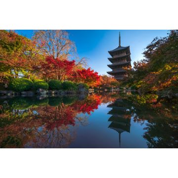Lais Puzzle - Die Holzpagode des Toji-Tempels mit schönen Ahornblättern, Kyoto, Japan - 2.000 Teile